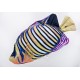 Gaby Regal Angelfish